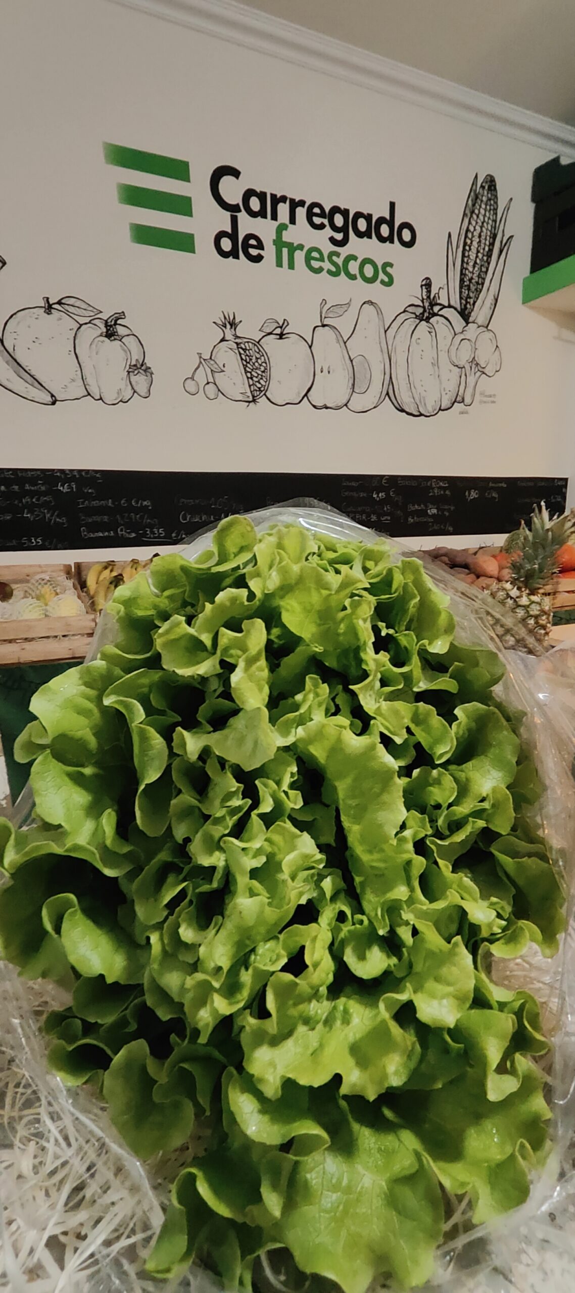 Alface Verde Frisada