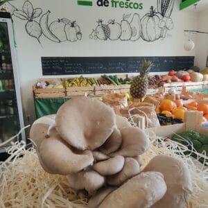 Cogumelos frescos, frutos tropicais e hortaliças no mercado Local.