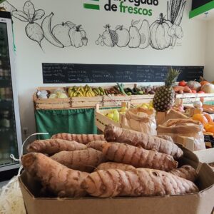 Curcuma/ açafrão da terra