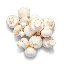 Cogumelos brancos frescos para culinária saudável e natural.