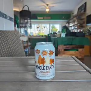 Refresco de gengibre orgânico e natural da Carregado de Frescos.