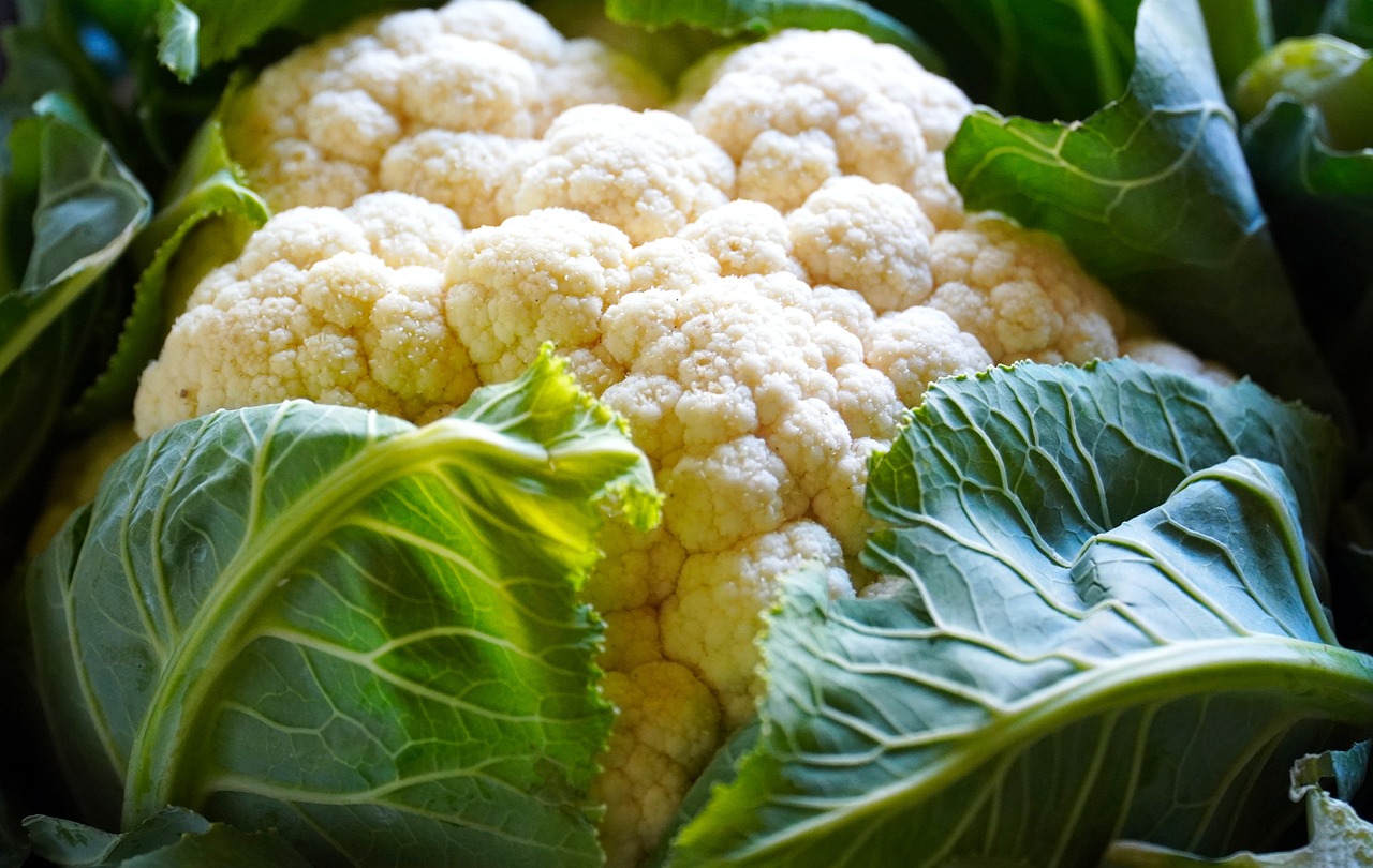 cauliflower, vegetable, food, fresh vegetable, harvest, produce, cauliflower, cauliflower, cauliflower, cauliflower, cauliflower