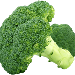 broccoli, vegetable, food, green vegetable, edible, organic, natural, cut out, broccoli, broccoli, broccoli, broccoli, broccoli