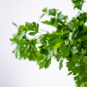 parsely, green, nature, healthy, meal, plant, food, fresh, vegetables, health, herbs, yummy, bio, vitamins, salad, cook, enjoy the meal, herb, garden, coriander, federation, water, glass