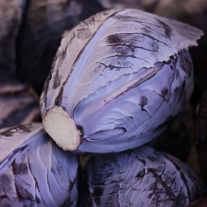 red cabbage, blue cabbage, cabbage, vegetables, food, healthy, meal, agriculture, violet, raw food, vitamins, blue, nourishment, crop, vegetable growing, winter vegetables, yummy, vegetarian, fresh, red cabbage, red cabbage, red cabbage, red cabbage, red cabbage, cabbage, cabbage, cabbage, cabbage, vegetables