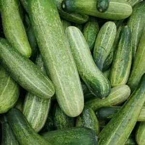 A close-up of fresh green cucumbers piled together, showcasing texture and healthiness.