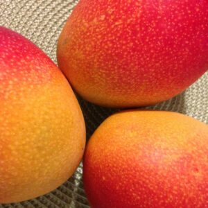Close-up shot of vibrant, ripe mangoes showcasing their colorful texture and fresh appeal.